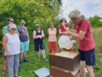 AK23 Modul 11 Einfüttern / Imkerkurs für Anfänger von Bienen-leben-in-Bamberg.de