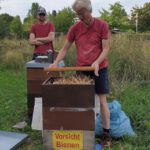 AK23 Modul 11 Einfüttern / Imkerkurs für Anfänger von Bienen-leben-in-Bamberg.de