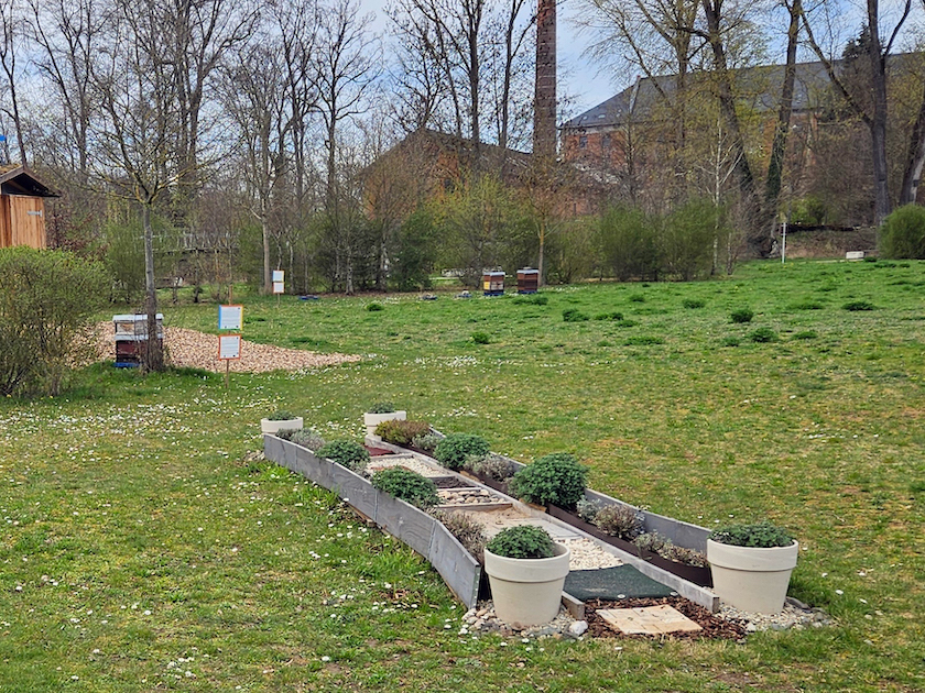 Sinnespfad (Barfußpfad) an der Bienen-InfoWabe im ERBA-Park, Bienenweg 1 / Initiative Bienen-leben-in-Bamberg.de