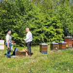 Kursteilnehmerin zur Modulwiederholung aus AK23 am Lehrbienenstand (Bienenweg)