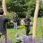 Aufbau der Handläufe zum Sinnespfad im Bamberger Bienengarten (Ausführender Thomas Gröhling) am 23.05.2024