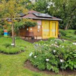 Bienen-InfoWabe mit Schau-Pfingstrosenbeet im Bamberger Bienengarten