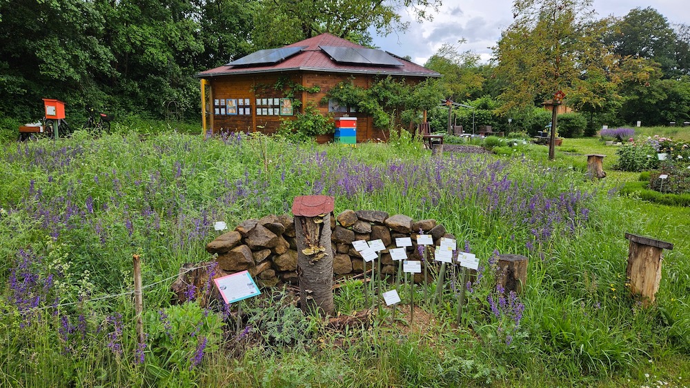 Bienen-InfoWabe mit Blühwiese und Insektenreservat im Bamberger Bienengarten (ERBA-Park)