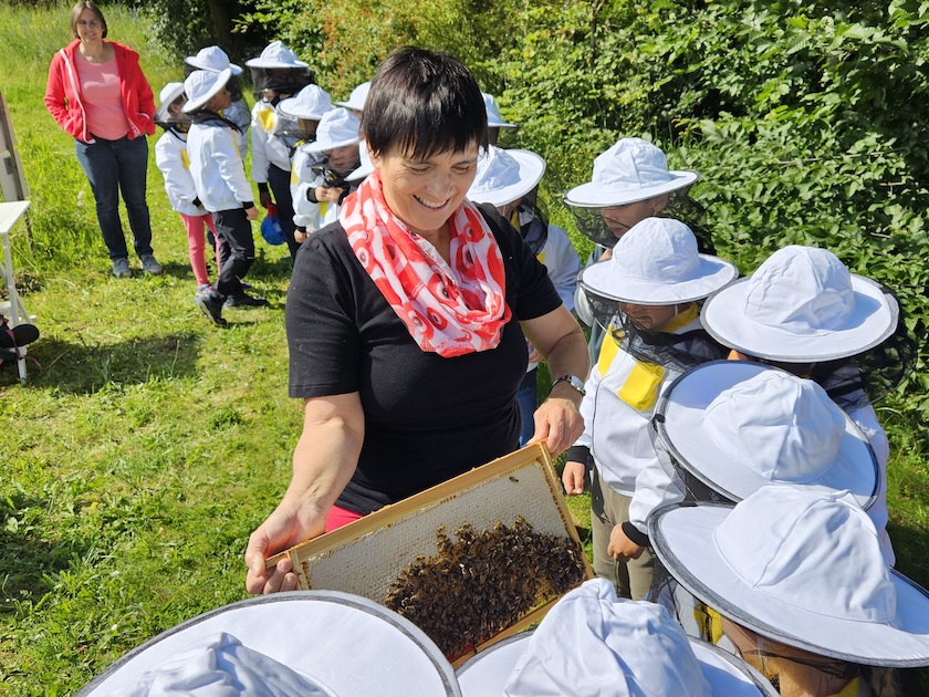 Grundschule Strullendorf, Klasse 1/2d zum Schulbienen-Unterricht in der Bienen-InfoWabe, Bienen-leben-in-Bamberg.de