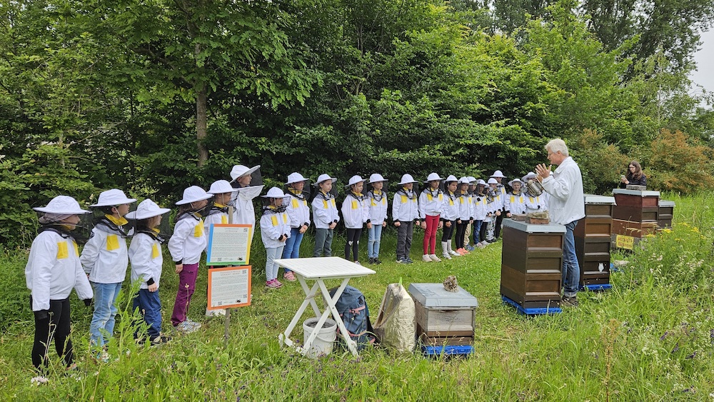 Grundschule Strullendorf, Klasse 1/2c zum Schulbienen-Unterricht in der Bienen-InfoWabe, Bienen-leben-in-Bamberg.de