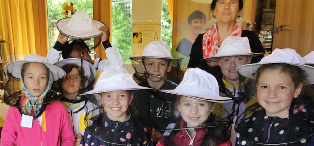 bienen-leben-in-bamberg.de