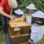 Ernte Bamberger Lagenhonig, Standort Inselstadt / Weide am 13.07.2024 / Bienen-leben-in-Bamberg.de