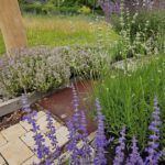 Duftpflanzen am Sinnespfad im Bamberger Bienengarten