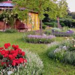Bienen-InfoWabe im Bamberger Bienengarten