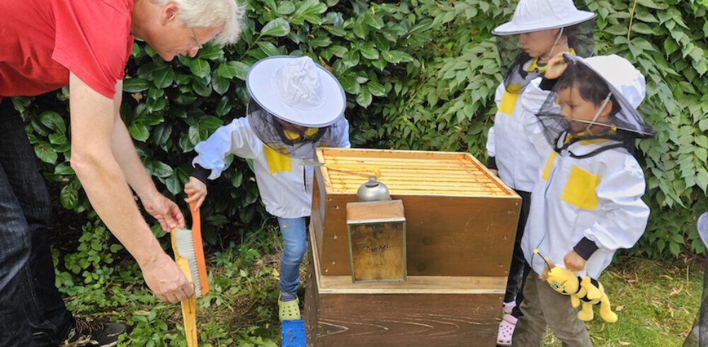 bienen-leben-in-bamberg.de