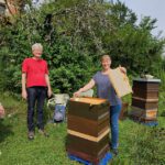 Honigschleudertage mit Ernte am Lagenstandort „Sternwarte", 27.07.2024 / Bienen-leben-in-Bamberg.de