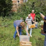 Honigschleudertage mit Ernte am Lagenstandort „Sternwarte", 27.07.2024 / Bienen-leben-in-Bamberg.de