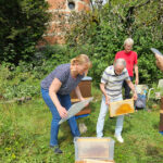 Honigschleudertage mit Ernte am Lagenstandort „Sternwarte", 27.07.2024 / Bienen-leben-in-Bamberg.de