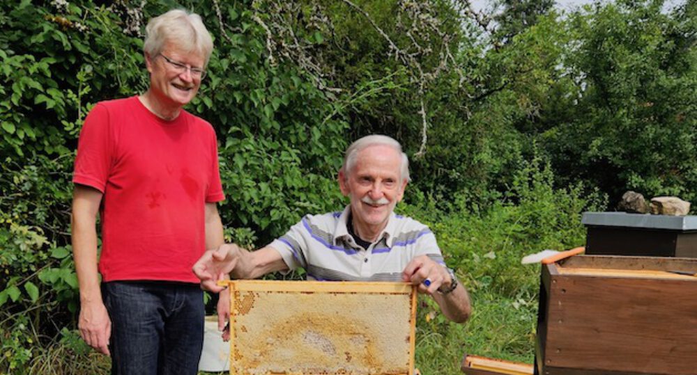 bienen-leben-in-bamberg.de