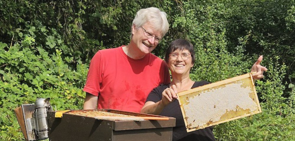bienen-leben-in-bamberg.de