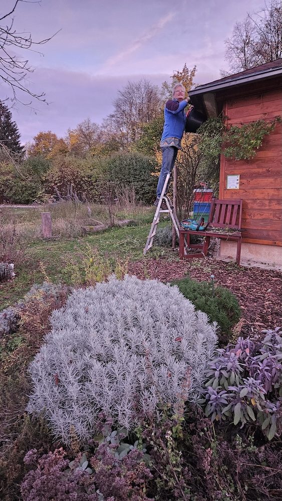 Herbstarbeiten im Bamberger Bienengarten