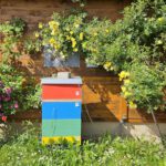 Puzzlebeute im Bienengarten an der Bienen-InfoWabe