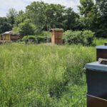 Lehrbienenstand Bienenweg von Bienen-leben-in-Bamberg.de