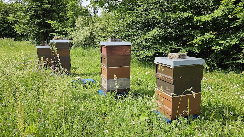 Lehrbienenstand Bienenweg von Bienen-leben-in-Bamberg.de