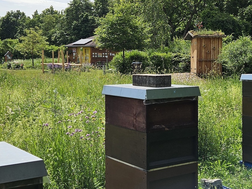 Lehrbienenstand Bienenweg von Bienen-leben-in-Bamberg.de