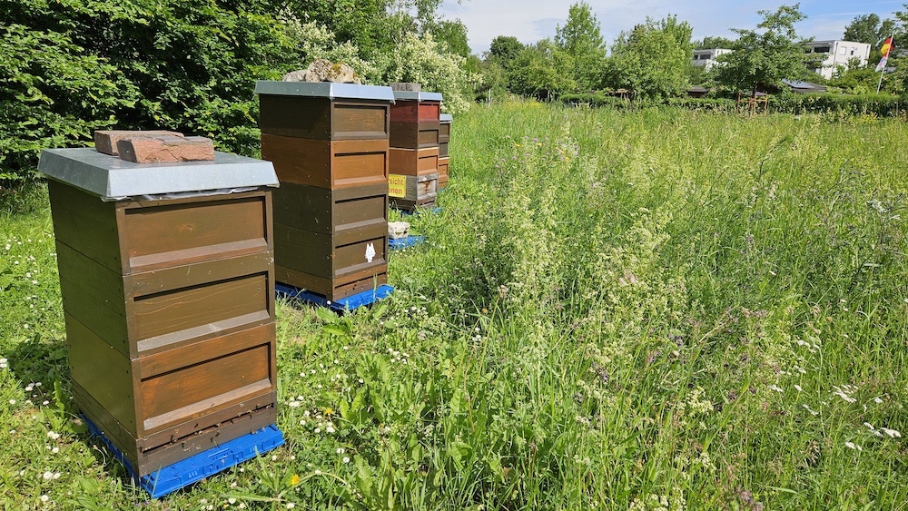 Lehrbienenstand Bienenweg von Bienen-leben-in-Bamberg.de