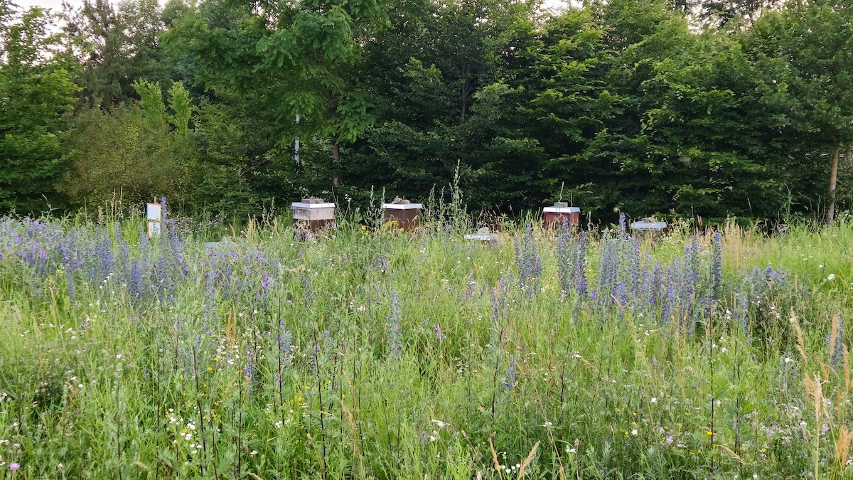 Lehrbienenstand Bienenweg in Bamberg von Bienen-leben-in-Bamberg.de