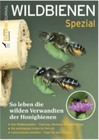 Wildbienen Spezial / Deutsches Bienenjournal