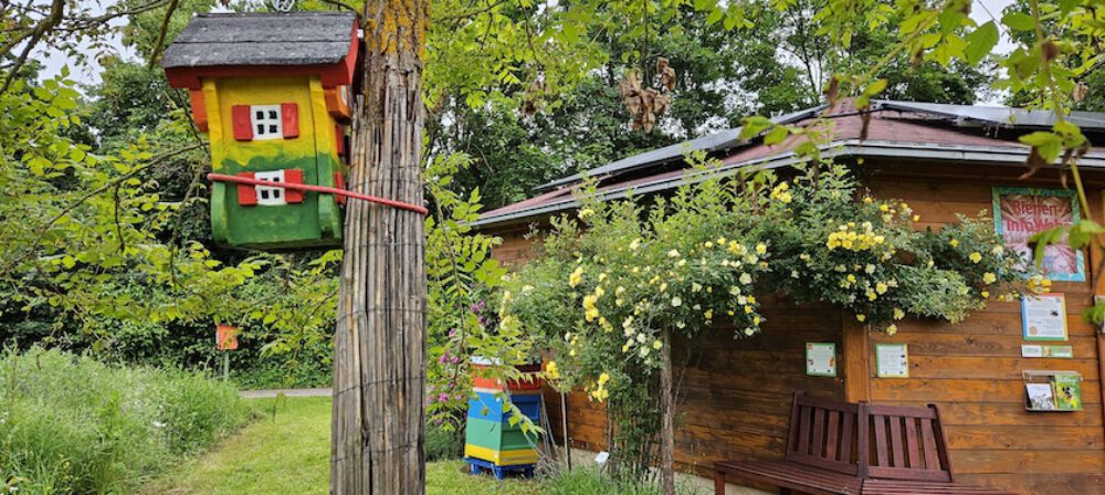 bienen-leben-in-bamberg.de