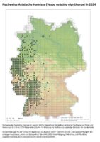 Karte zur Verbreitung der Vespa velutina in Deutschland, Stand 2024