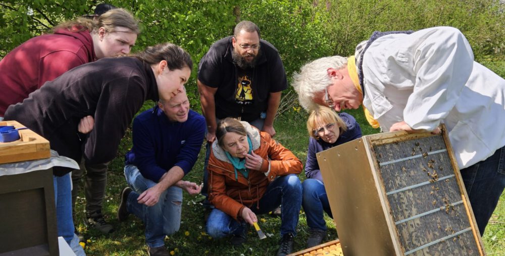 bienen-leben-in-bamberg.de