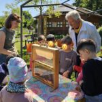 Rupprechtschule Bamberg, 1.-3. Klasse (Lesepatengruppe) in Koop. Carithek/Freiwilligenzentrum zum Schulbienen-Unterricht in der Bienen-InfoWabe, Bienen-leben-in-Bamberg.de