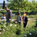 Rupprechtschule Bamberg, 1.-3. Klasse (Lesepatengruppe) in Koop. Carithek/Freiwilligenzentrum zum Schulbienen-Unterricht in der Bienen-InfoWabe, Bienen-leben-in-Bamberg.de