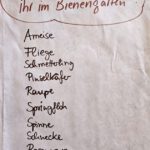 Rupprechtschule Bamberg, 1.-3. Klasse (Lesepatengruppe) in Koop. Carithek/Freiwilligenzentrum zum Schulbienen-Unterricht in der Bienen-InfoWabe, Bienen-leben-in-Bamberg.de