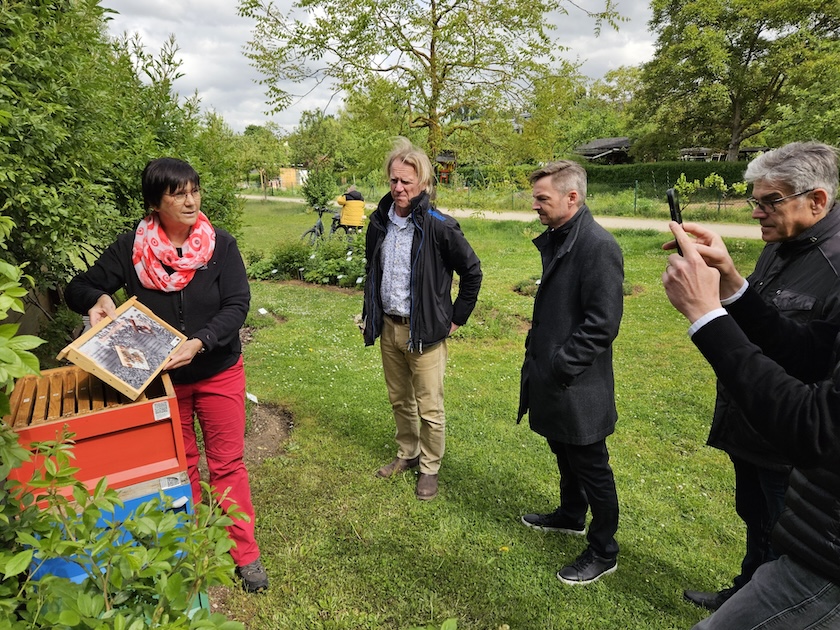 Führung für Schmidt-Stiftung / Lebkuchen Schmidt aus Nürnberg am Bienenweg in Bamberg