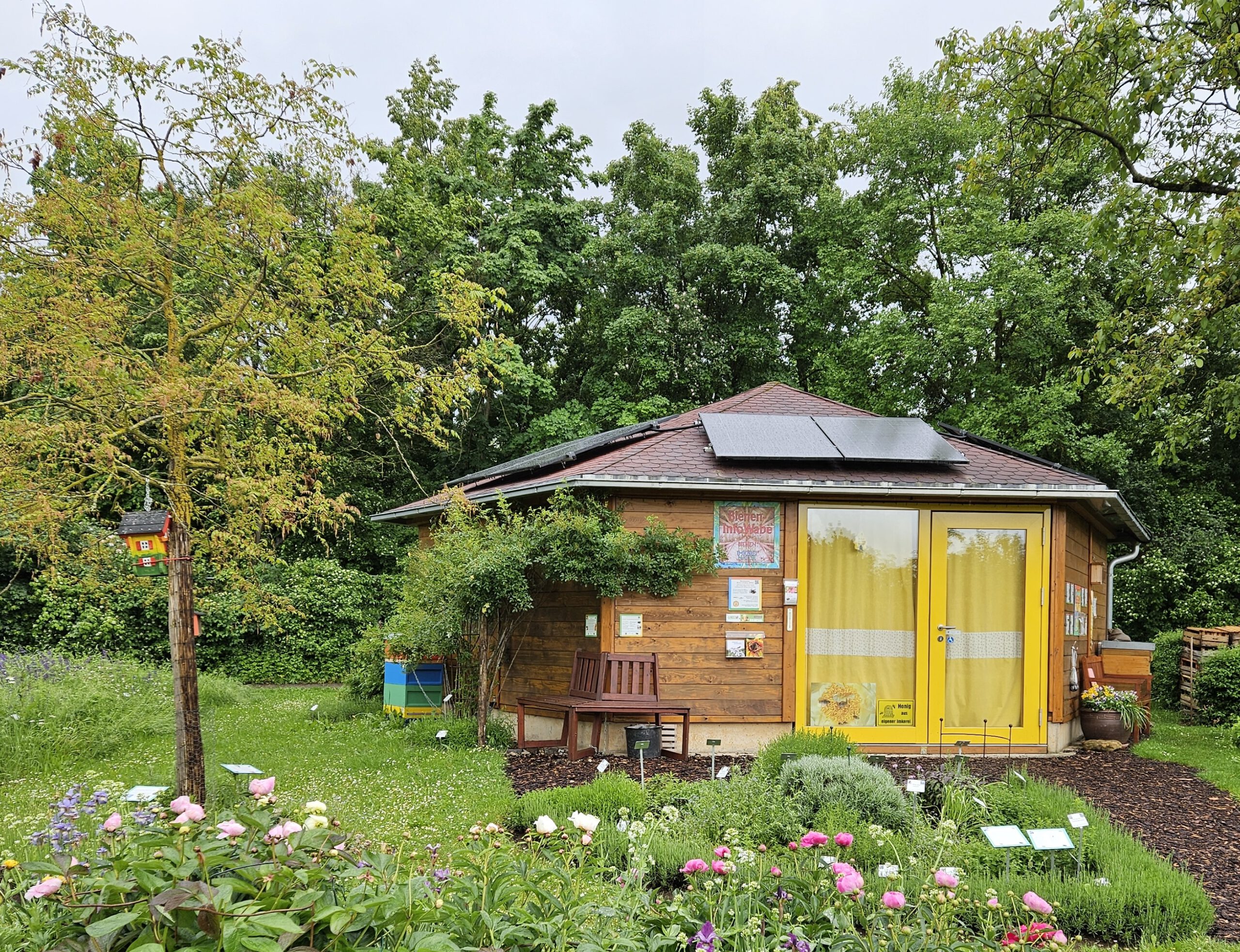 Bienen-InfoWabe mit Schau-Pfingstrosenbeet im Bamberger Bienengarten