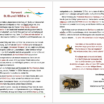 Jubiläumsfestschrit "10 Jahre Bienen InfoWabe" 2015-2025