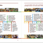 Jubiläumsfestschrit "10 Jahre Bienen InfoWabe" 2015-2025
