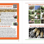 Jubiläumsfestschrit "10 Jahre Bienen InfoWabe" 2015-2025