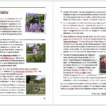 Jubiläumsfestschrit "10 Jahre Bienen InfoWabe" 2015-2025