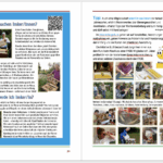 Jubiläumsfestschrit "10 Jahre Bienen InfoWabe" 2015-2025