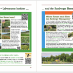 Jubiläumsfestschrit "10 Jahre Bienen InfoWabe" 2015-2025