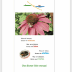 Jubiläumsfestschrit "10 Jahre Bienen InfoWabe" 2015-2025