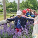 Grundschule Scheßlitz, Klasse 2b zum Schulbienen-Unterricht / Schulbienenführung in der Bienen-InfoWabe, Bienen-leben-in-Bamberg.de
