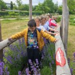 Grundschule Scheßlitz, Klasse 2b zum Schulbienen-Unterricht / Schulbienenführung in der Bienen-InfoWabe, Bienen-leben-in-Bamberg.de