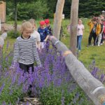 Grundschule Scheßlitz, Klasse 2b zum Schulbienen-Unterricht / Schulbienenführung in der Bienen-InfoWabe, Bienen-leben-in-Bamberg.de