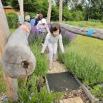 Domschule Bamberg, Klasse 2a zum Schulbienen-Unterricht / Schulbienenführung in der Bienen-InfoWabe, Bienen-leben-in-Bamberg.de