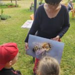 Grundschule Scheßlitz, Klasse 2b zum Schulbienen-Unterricht / Schulbienenführung in der Bienen-InfoWabe, Bienen-leben-in-Bamberg.de