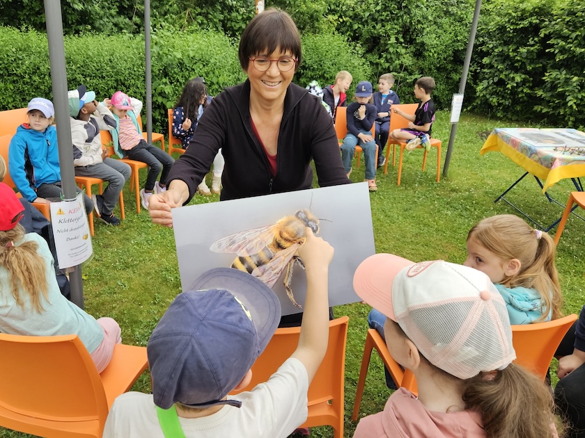 Rupprecht-Grundschule Bamberg, Klasse 2b zum Schulbienen-Unterricht / Schulbienenführung in der Bienen-InfoWabe, Bienen-leben-in-Bamberg.de