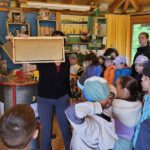 Rupprecht-Grundschule Bamberg, Klasse 2b zum Schulbienen-Unterricht / Schulbienenführung in der Bienen-InfoWabe, Bienen-leben-in-Bamberg.de
