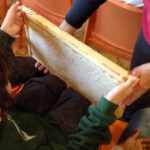 Rupprecht-Grundschule Bamberg, Klasse 2c zum Schulbienen-Unterricht / Schulbienenführung in der Bienen-InfoWabe, Bienen-leben-in-Bamberg.de